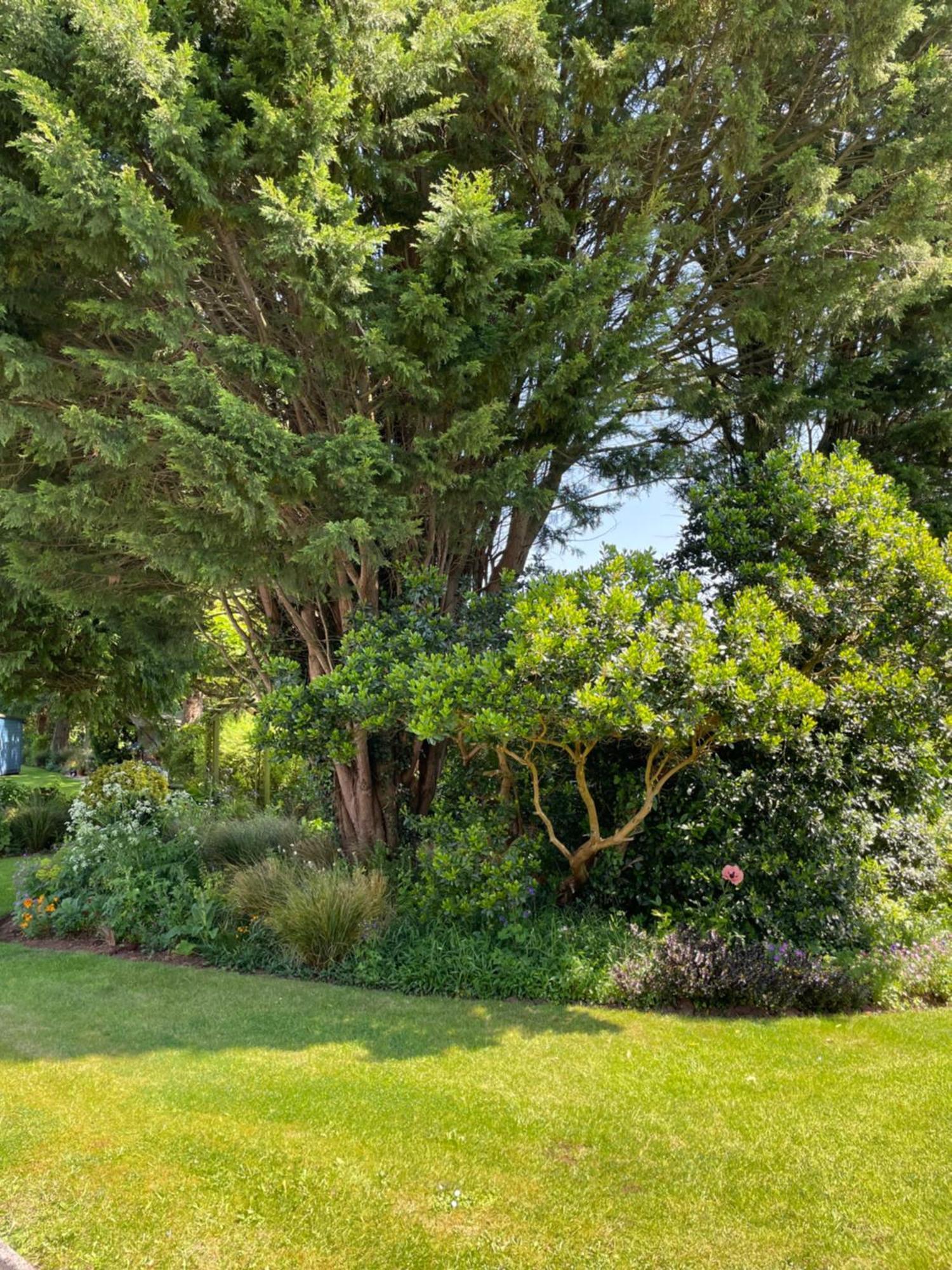 Villa Leylands Annexe à East Harptree Extérieur photo