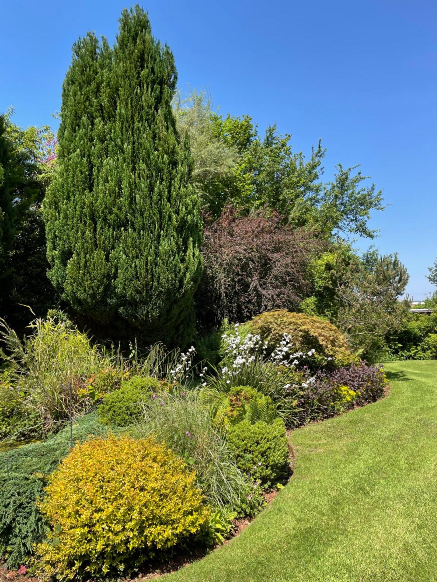 Villa Leylands Annexe à East Harptree Extérieur photo